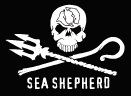 Sea-Shepherd