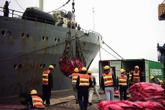 M2061P-1002