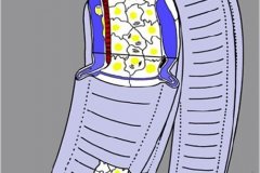 gill0034