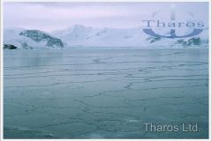 antarctica_sea_ice_forming1